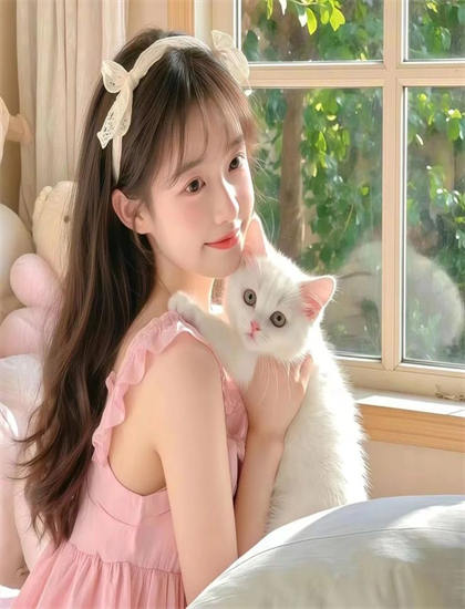 《女人的故事》：专业人士推荐与评分解读